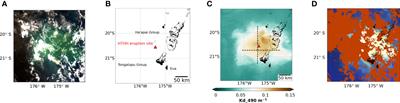 Impact of ashes from the 2022 Tonga volcanic eruption on satellite ocean color signatures